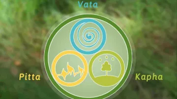 How to balance vata pitta kapha- India TV Hindi