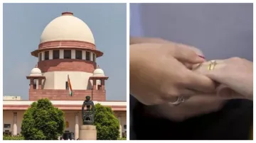 same sex marriage in india- India TV Hindi