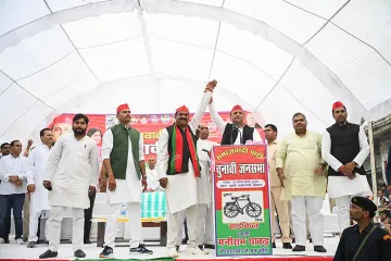 Akhilesh Yadav, samajwadi party- India TV Hindi