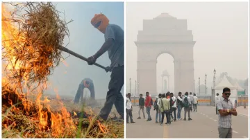 punjab government strict on air pollution red alert in Punjab still stubble burning action started- India TV Hindi
