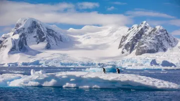 antarctica iceberg- India TV Hindi