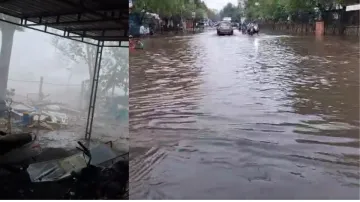 Gujarat, Rain- India TV Hindi