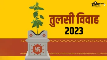 Tulsi Vivah 2023- India TV Hindi