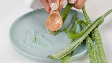 preserve aloe vera gel naturally- India TV Hindi
