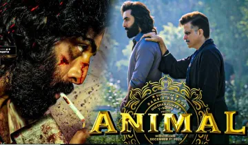 Animal Box Office Prediction- India TV Hindi