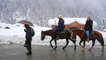 Sonmarg Snowfall, Sonmarg News, Sonmarg Latest News- India TV Hindi