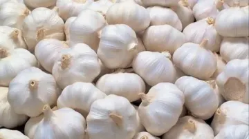 raw garlic - India TV Hindi