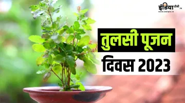 Tulsi Pujan Diwas 2023- India TV Hindi