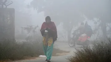 उत्तर भारत में सर्दी बढ़ गई है- India TV Hindi