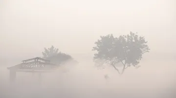 dense fog- India TV Hindi