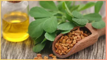  fenugreek hair oil recipe- India TV Hindi