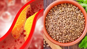 How to control bad cholesterol - India TV Hindi