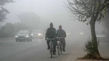 delhi cold- India TV Hindi