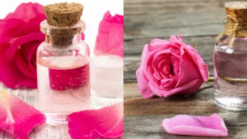 How To Make Rose Water - India TV Hindi