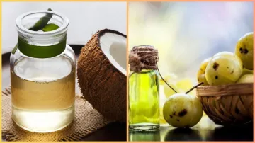 Amla oil vs coconut oil- India TV Hindi