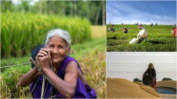 पीएम किसान- India TV Paisa