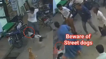 कुत्ते ने अचानक लोगों पर किया हमला- India TV Hindi