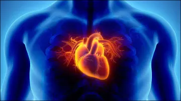 Coronary Heart Disease- India TV Hindi