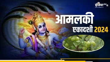 Amalaki Ekadashi 2024- India TV Hindi