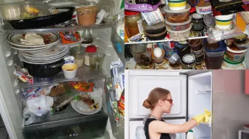 How clean dirty fridge,- India TV Hindi