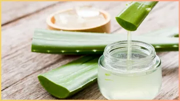 aloe vera gel- India TV Hindi