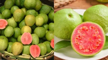 Guava Health Benefits- India TV Hindi