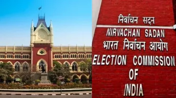 बहरामपुर में चुनाव को लेकर कलकत्ता हाई कोर्ट ने की टिप्पणी- India TV Hindi