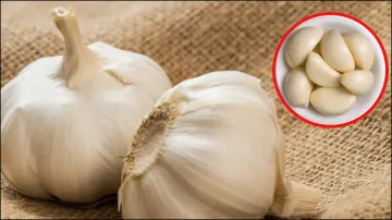 Chinese Garlic- India TV Hindi