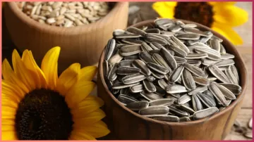 Sunflower Seeds - India TV Hindi