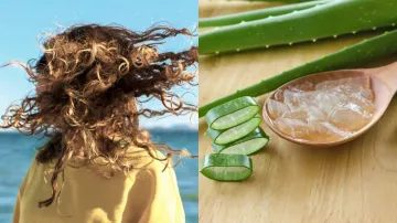Aloe vera for Soft Hair- India TV Hindi