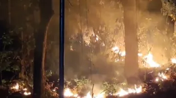 Nanital Forest Fire- India TV Hindi