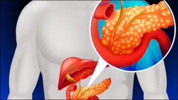 pancreas- India TV Hindi