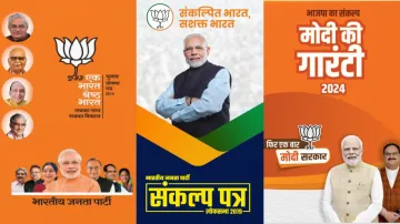BJP manifesto- India TV Hindi