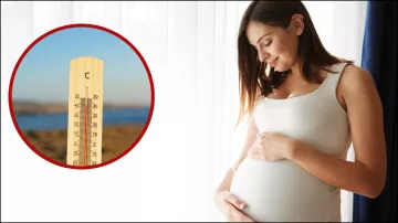 Pregnancy - India TV Hindi