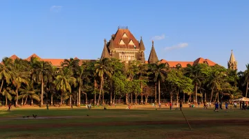 bombay high court- India TV Hindi