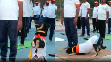 NDRF Dog Yoga- India TV Hindi