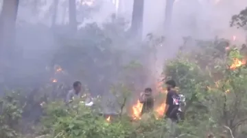 Forest Fire- India TV Hindi