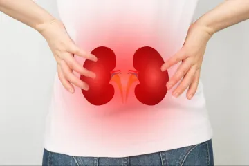 kidney - India TV Hindi