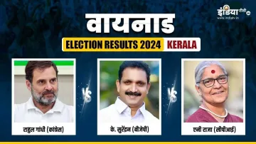 Wayanad Election Results, Wayanad Election Result 2024- India TV Hindi