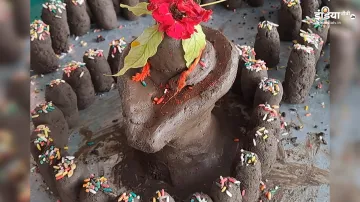 Parthiv Shivling Puja- India TV Hindi