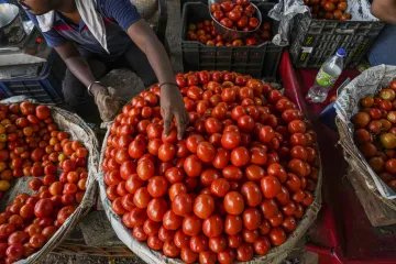 Tomato- India TV Paisa