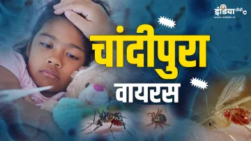 Chandipura Virus- India TV Hindi