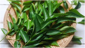 Curry Leaves- India TV Hindi