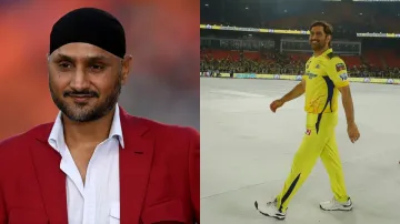 Harbhajan Singh And MS Dhoni- India TV Hindi