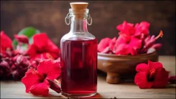 Hibiscus Flower Oil - India TV Hindi