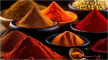 Spices- India TV Hindi