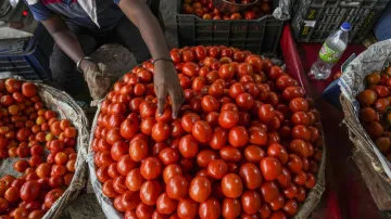 Tomato Price - India TV Paisa