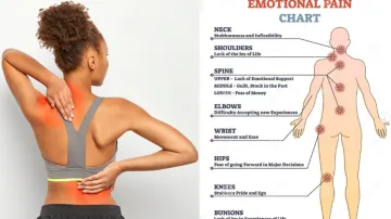 Emotional Pain Chart- India TV Hindi