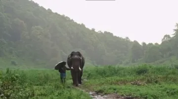 हाथी के साथ महावत- India TV Hindi