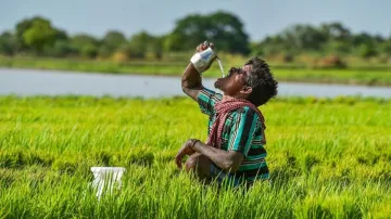 आईडी, भूमि रिकॉर्ड, पशुधन स्वामित्व, बोई गई फसलों और प्राप्त लाभों सहित विभिन्न किसान-संबंधित डेटा स- India TV Paisa